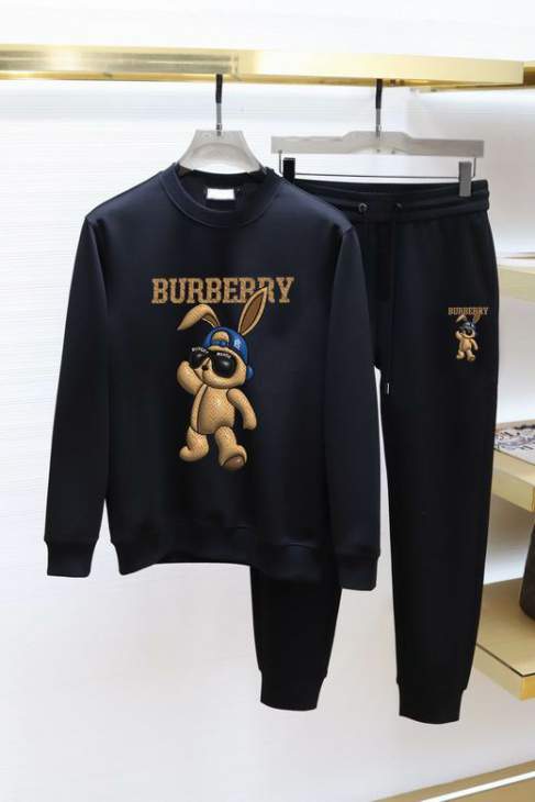 Picture of Burberry Sweater Suits _SKUBurberryM-5XLkdtn15237698